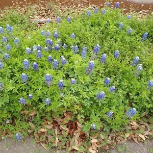 Meet your Posher, Doug